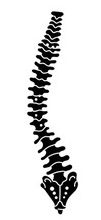 Full Spine